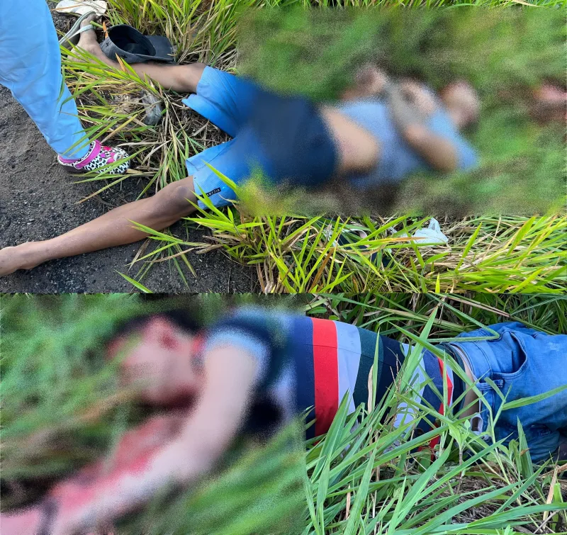 Vítimas amarradas e mortas a tiros são achadas às margens da BR-330 na Bahia