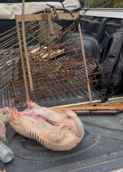 CIPPA/PS combate cativeiro e caça ilegal de animais silvestres em Barra do Choça