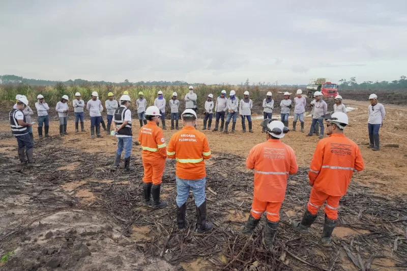 No Dia de Proteção às Florestas, Suzano destaca programa que já impactou mais de 8 mil pessoas em 2025