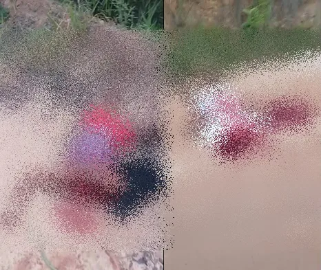 Corpos decapitados de homem e mulher são encontrados entre aldeias indígenas em Porto Seguro