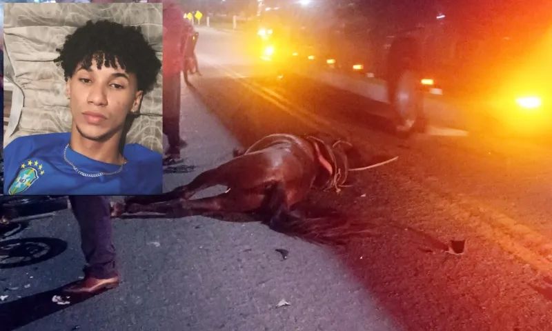 Tragédia em Eunápolis: Jovem morre em colisão entre moto e cavalo na BR-367