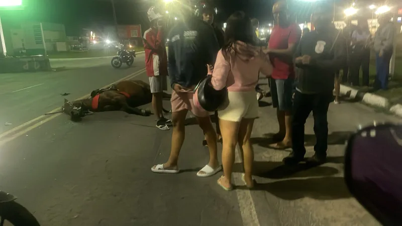 Tragédia em Eunápolis: Jovem morre em colisão entre moto e cavalo na BR-367