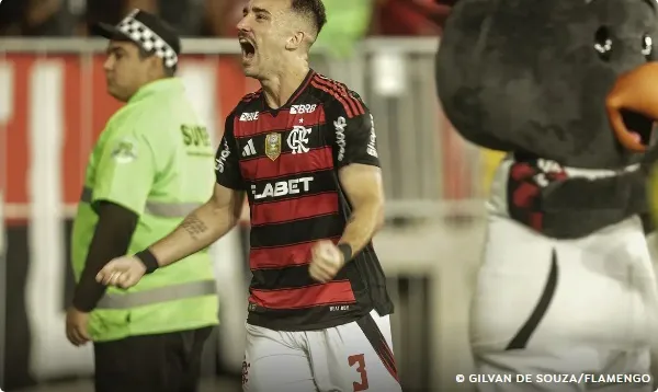 Flamengo vence o Galo e é o novo líder do Campeonato Brasileiro