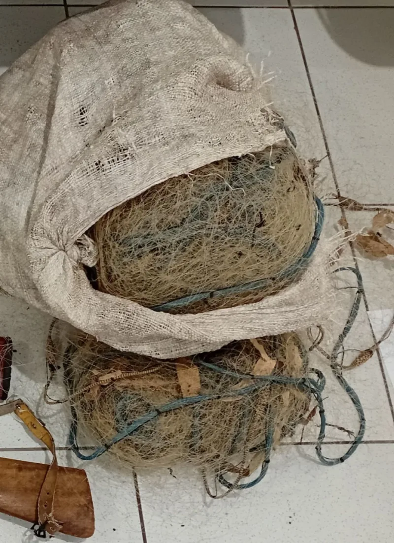 CIPPA/Porto Seguro desarticula caça ilegal e apreende armas e materiais de pesca predatória em Belmonte
