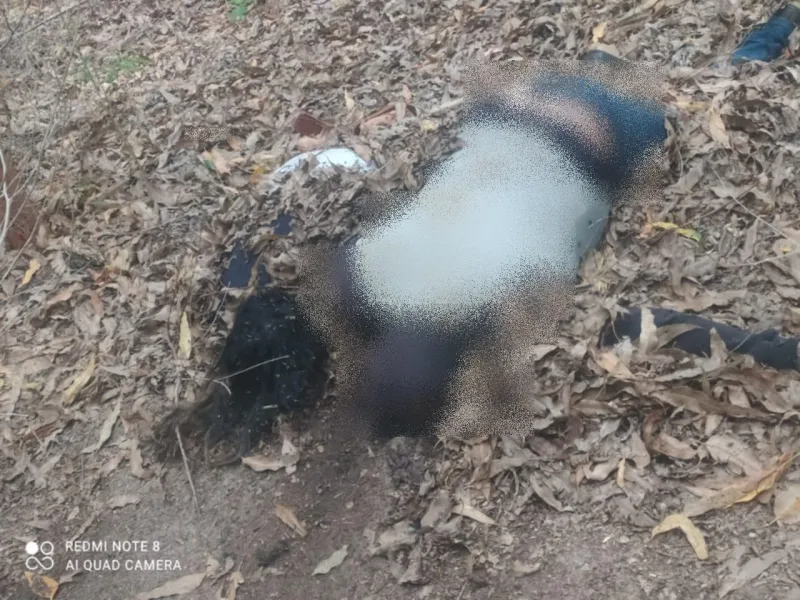 Casal desaparecido em Alcobaça é encontrado morto na comunidade Araras