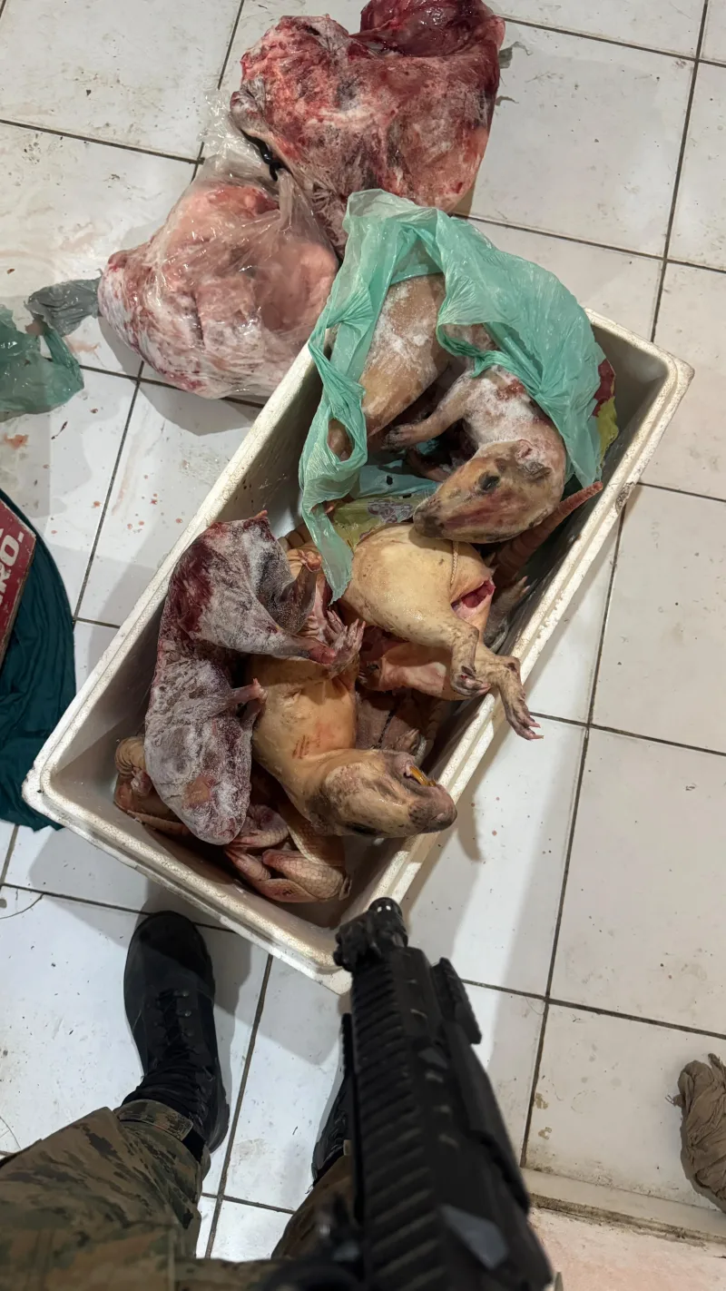 Operação da CIPPA desarticula caça ilegal e apreende armas na zona rural de Prado
