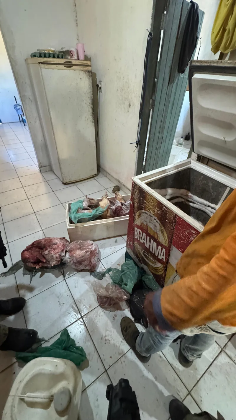 Operação da CIPPA desarticula caça ilegal e apreende armas na zona rural de Prado