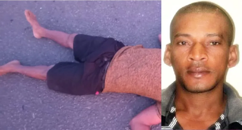 Jacaré morre atropelado na BA-290; motorista fugiu sem prestar socorro
