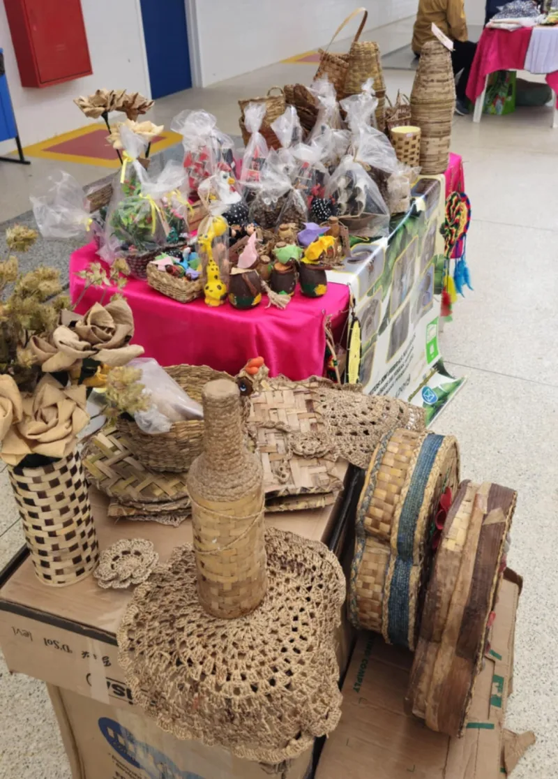 Mulheres do Agro brilham no SENAR para Elas em Medeiros Neto