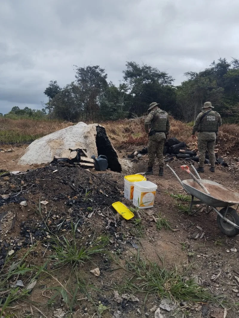 CIPPA/Porto Seguro desativa fornos clandestinos de carvão vegetal em Belmonte