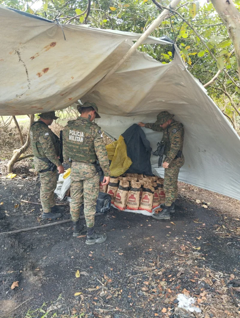 CIPPA/Porto Seguro desativa fornos clandestinos de carvão vegetal em Belmonte