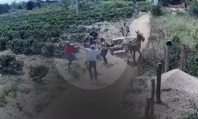 Brutal - Homem é assassinado a pauladas em fazenda na Bahia; esposa acusa mãe, irmãos e primo da vítima por disputa de herança