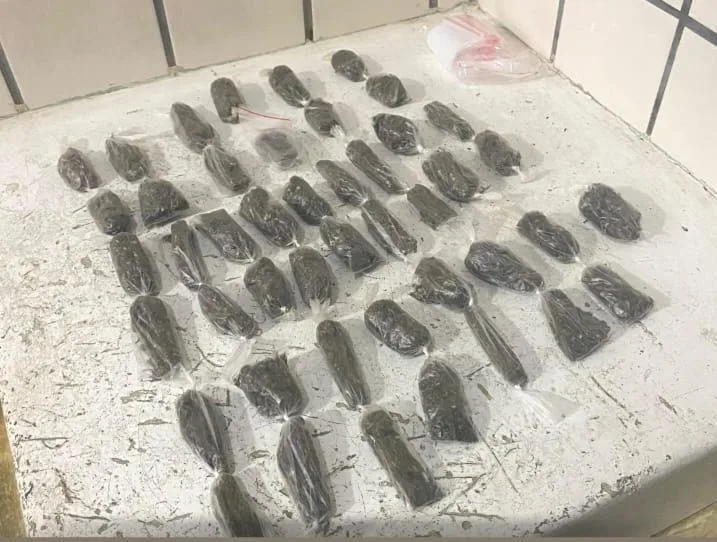 RONDESP prende jovem por tráfico de drogas em Medeiros Neto