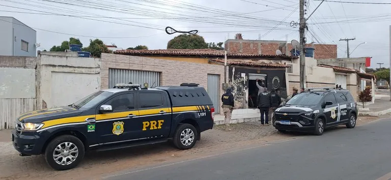 Operação Voo Livre: PRF e Polícia Civil combatem tráfico de animais silvestres na Bahia
