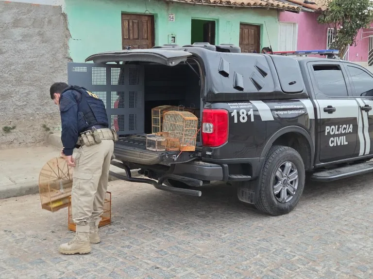 Operação Voo Livre: PRF e Polícia Civil combatem tráfico de animais silvestres na Bahia