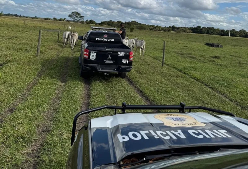 Operação Vita: Polícia Civil encontra restos mortais do motorista de aplicativo Weverton em Eunápolis