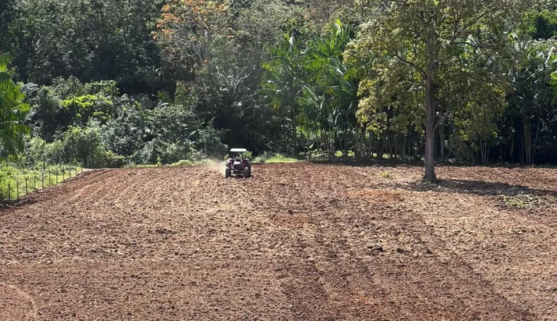 PROMER fortalece agricultura familiar e impulsiona a economia de Vereda