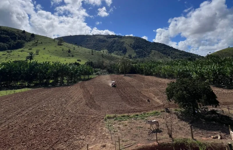 PROMER fortalece agricultura familiar e impulsiona a economia de Vereda
