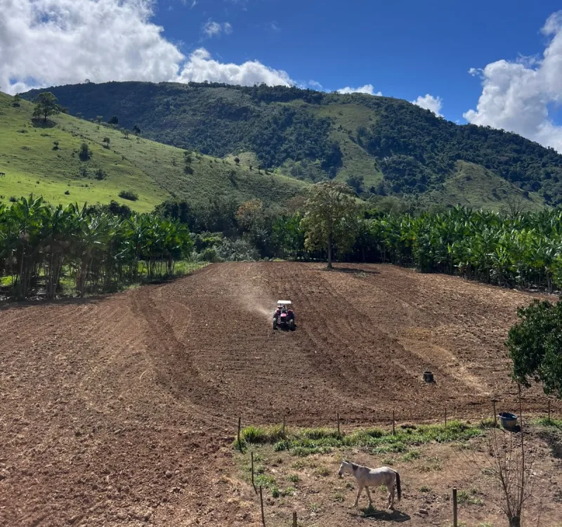 PROMER fortalece agricultura familiar e impulsiona a economia de Vereda