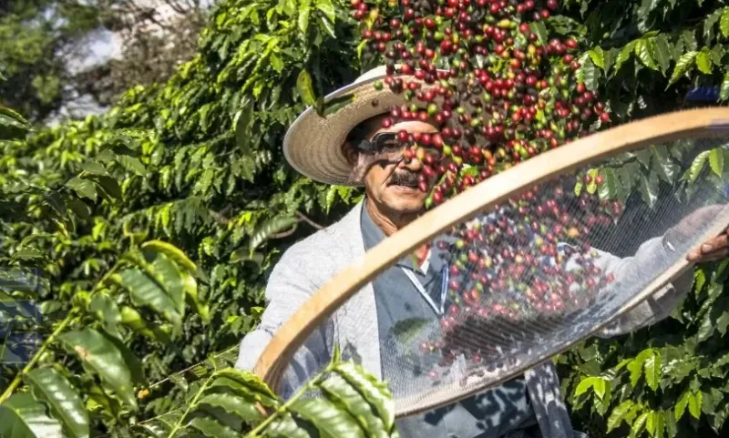Dia de Campo integra conhecimento, inovação e novas experiências para o Extremo-Sul baiano