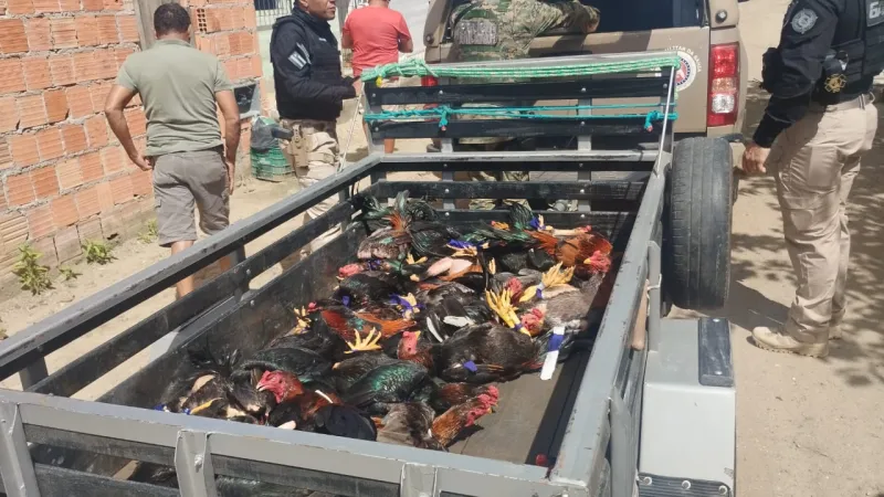 Operação “Fauna Protegida” combate crimes ambientais em São João do Paraíso