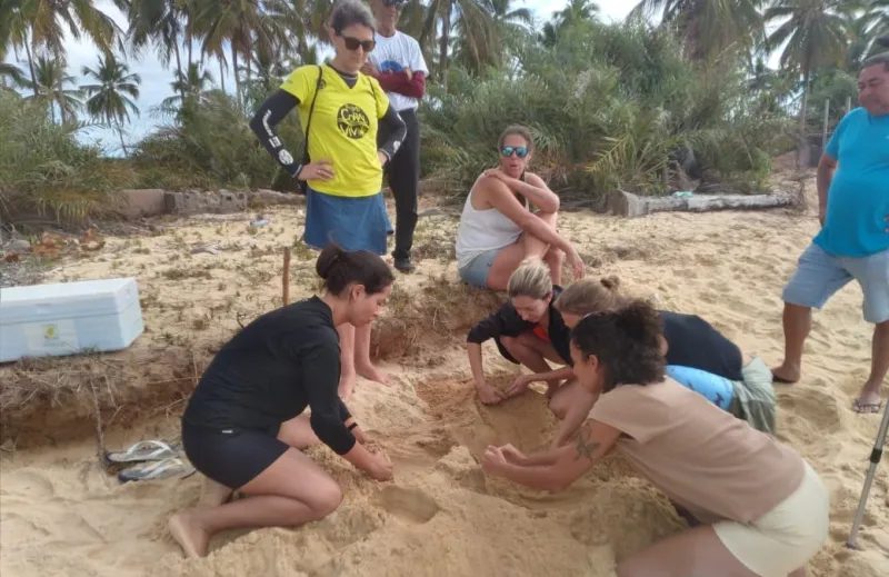 Mucuri se destaca no II Encontro de Tartarugueiros do Extremo Sul da Bahia com recorde de ninhos e filhotes monitorados