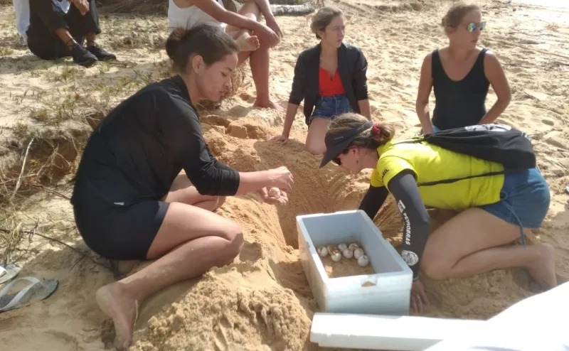 Mucuri se destaca no II Encontro de Tartarugueiros do Extremo Sul da Bahia com recorde de ninhos e filhotes monitorados