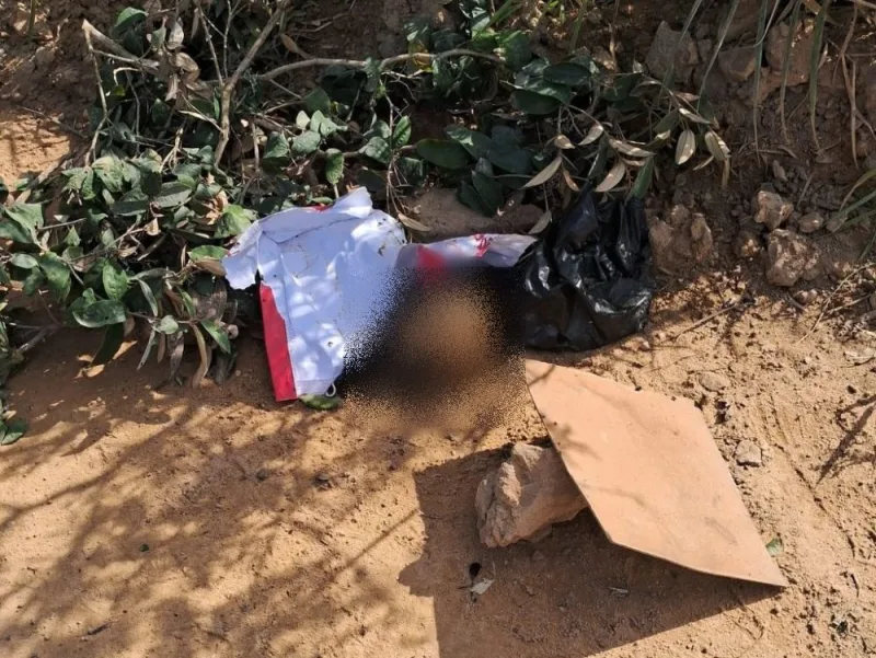 Cabeça é encontrada em Santa Cruz Cabrália e pode ser de jovem decapitada; corpo foi achado há 9 dias