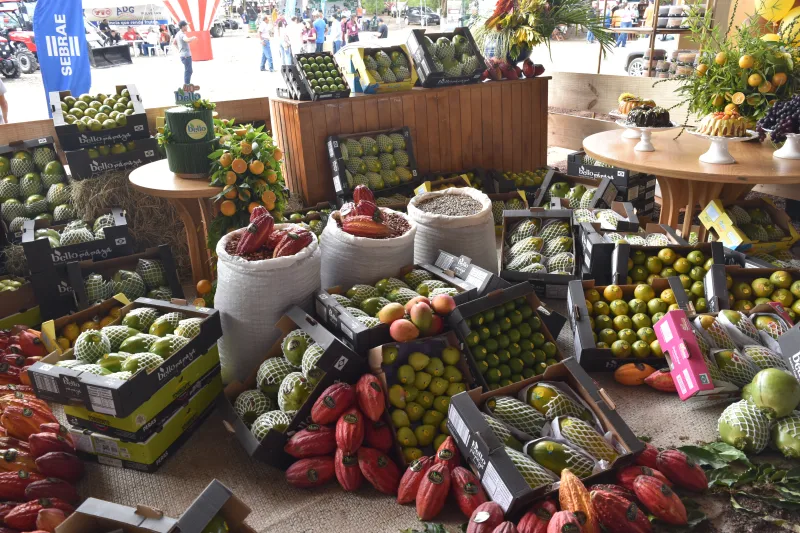 Dia de Campo celebra 40 anos da Bello Fruit e reforça protagonismo agrícola do Extremo Sul da Bahia