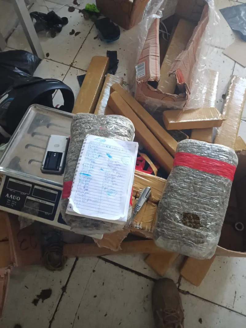 Polícia Civil apreende 212 quilos de maconha em Feira de Santana Polícia Civil apreende 212 quilos de maconha em Feira de Santana