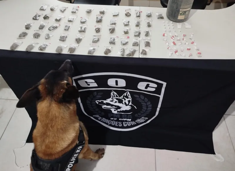 Operação Policial com cão farejador resulta em apreensão de drogas e prisão em Itabatã
