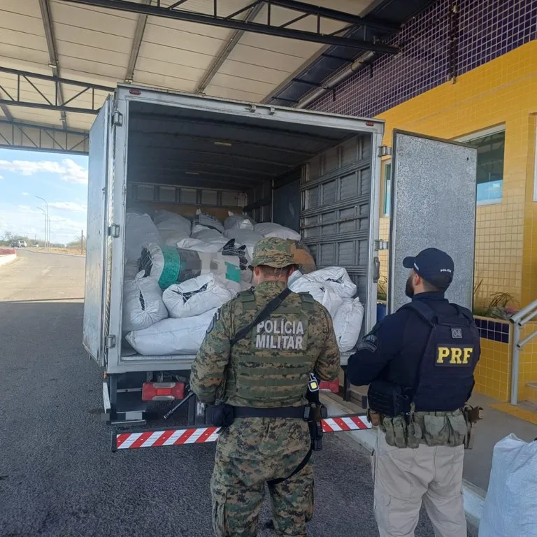 PRF apreende mais de 780 kg de maconha em caminhão durante operação na Bahia PRF apreende mais de 780 kg de maconha em caminhão durante operação na Bahia