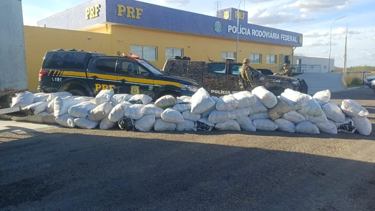 PRF apreende mais de 780 kg de maconha em caminhão durante operação na Bahia PRF apreende mais de 780 kg de maconha em caminhão durante operação na Bahia