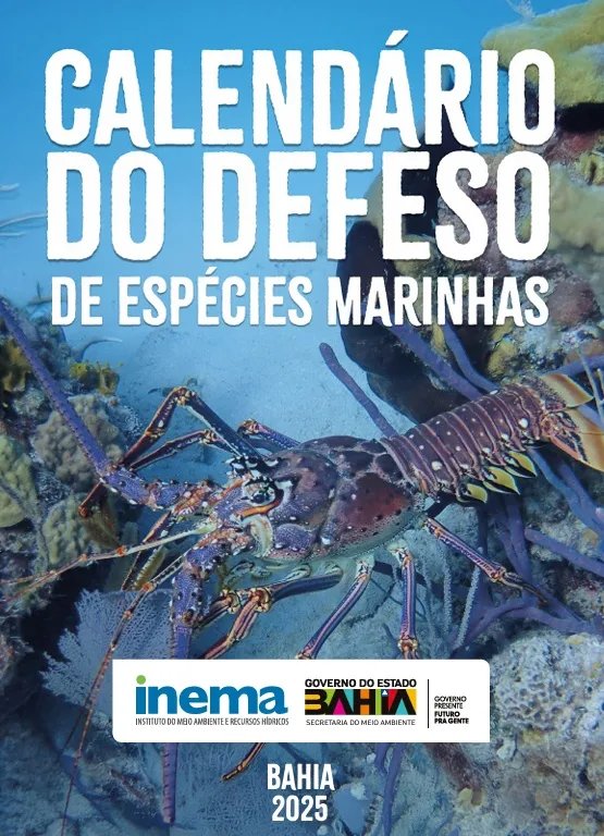 Defeso 2025: Prefeitura de Mucuri promove conscientização pela pesca sustentável