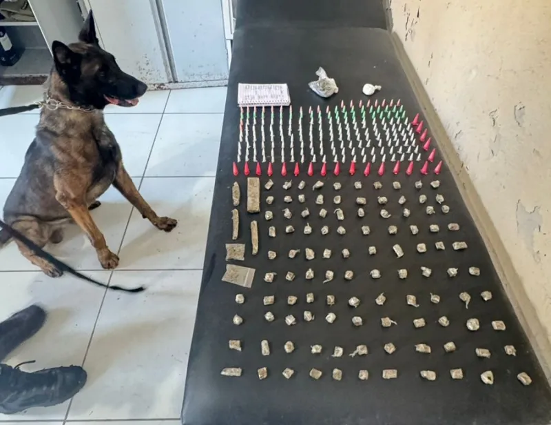 Operação do 8º BPM com apoio do K-9 Baruk resulta em apreensão de drogas em Coroa Vermelha