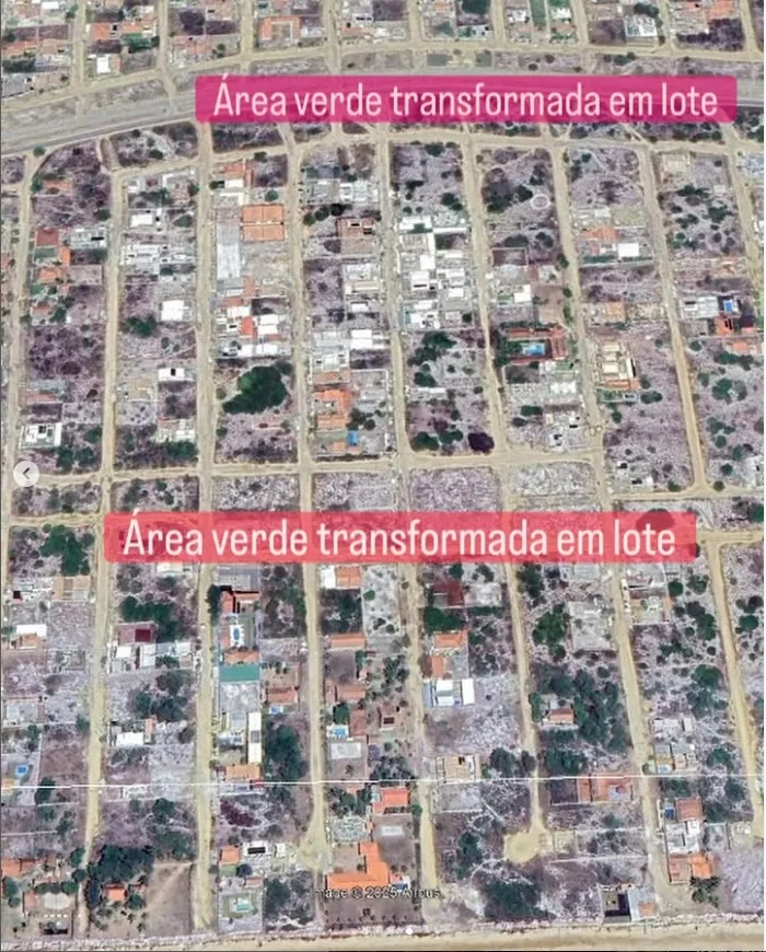 “Imagens antigas mostram o que restou das áreas verdes no Basevi”