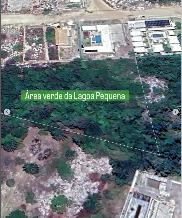 “Imagens antigas mostram o que restou das áreas verdes no Basevi”