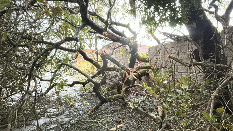 Bahia é atingida por mais de 73 mil raios em 48 horas Bahia é atingida por mais de 73 mil raios em 48 horas
