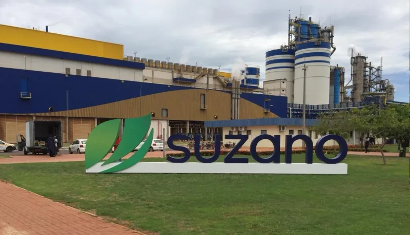 Suzano abre inscrições para Programa de Estágio Superior 2026