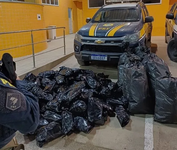 PRF Apreende Mais de 100 kg de Maconha em Simões Filho