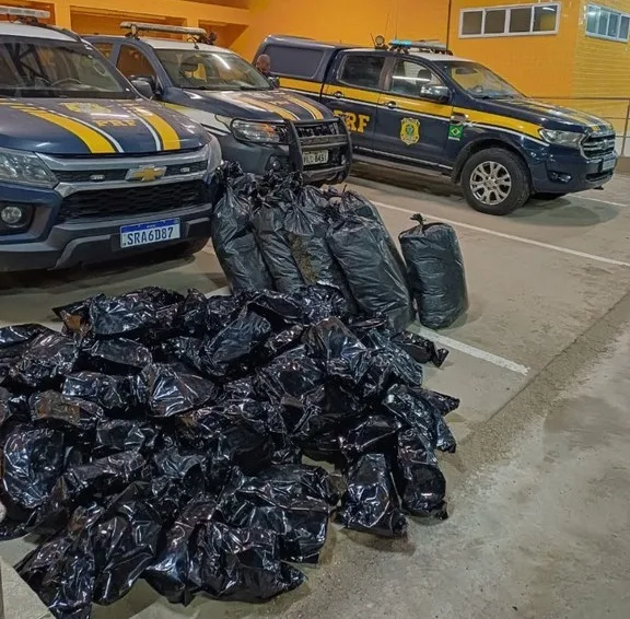 PRF Apreende Mais de 100 kg de Maconha em Simões Filho