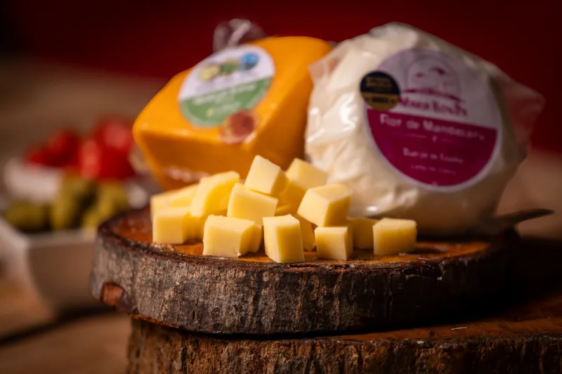 Salvador recebe o 1º Concurso de Queijos da Bahia nesta quarta-feira (29) Salvador recebe o 1º Concurso de Queijos da Bahia nesta quarta-feira (29)