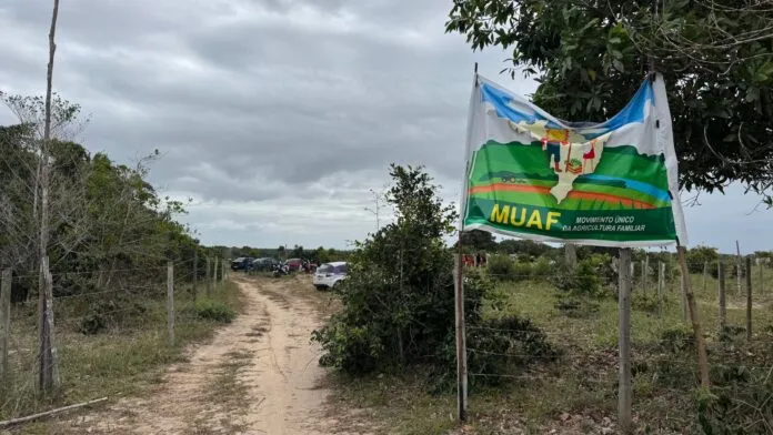 Estado abre ação discriminatória para definir domínio de terras da Basevi, no município de Prado Estado abre ação discriminatória para definir domínio de terras da Basevi, no município de Prado