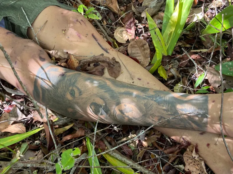 Nutela  é encontrado morto em área de vegetação em Alcobaça. A vítima estava desaparecida desde sábado 1º de novembro Nutela  é encontrado morto em área de vegetação em Alcobaça. A vítima estava desaparecida desde sábado 1º de novembro