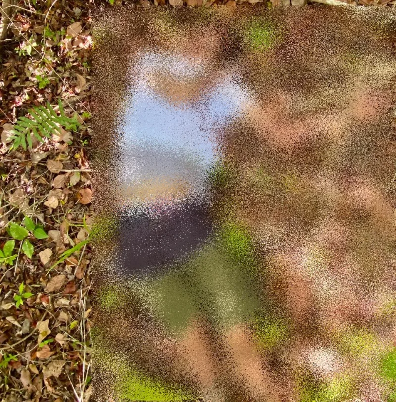 Nutela  é encontrado morto em área de vegetação em Alcobaça. A vítima estava desaparecida desde sábado 1º de novembro Nutela  é encontrado morto em área de vegetação em Alcobaça. A vítima estava desaparecida desde sábado 1º de novembro