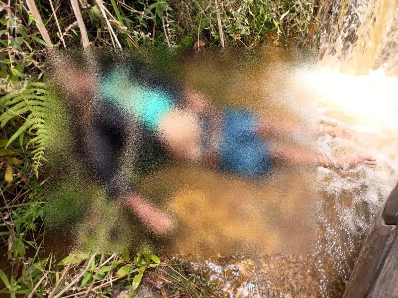 Motorista morre após capotar carro e cair dentro de córrego na BA-284, em Itamaraju Motorista morre após capotar carro e cair dentro de córrego na BA-284, em Itamaraju