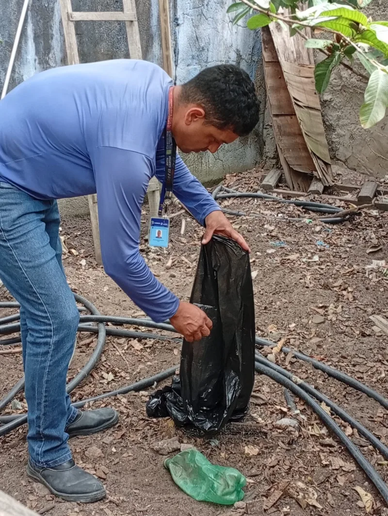 Lajedão realiza Dia D de mobilização nacional contra a dengue