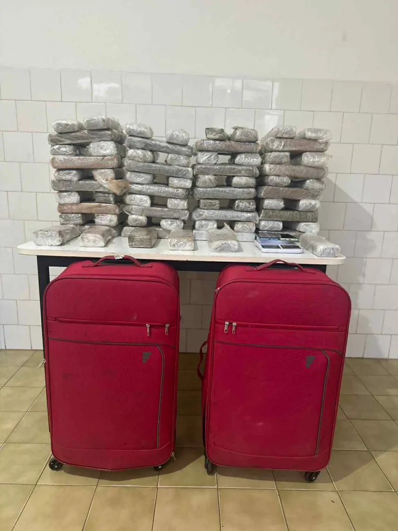 PM apreende 54 kg de maconha após confronto em área de mata em Alcobaça