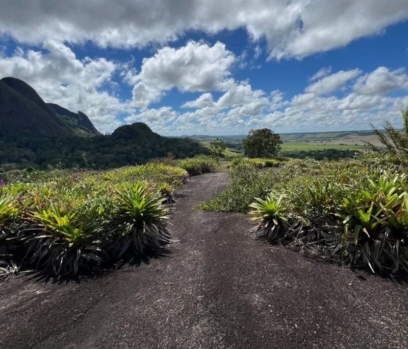 Trilha de 7 km marca atividade de integração com a natureza para alunos da Presidente Médici em Itamaraju Trilha de 7 km marca atividade de integração com a natureza para alunos da Presidente Médici em Itamaraju