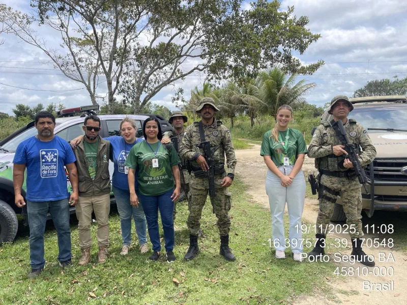 CIPPA/PS e Semac atuam contra maus-tratos e salvam cães em Porto Seguro.